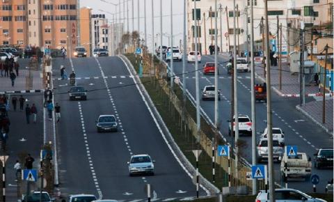 بلدية غزة تدعو المواطنين للحفاظ على الأشتال المزروعة في جزر الشوارع