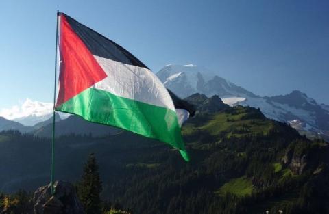 فلسطين تشارك في مؤتمر الأطراف المفتوح 41 لاتفاقية فيينا