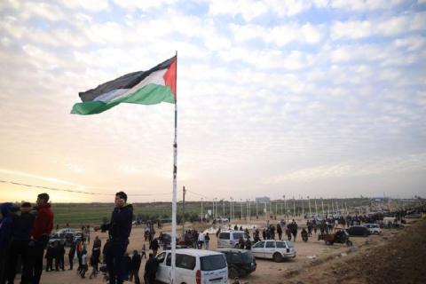 عندما يظلم الفلسطينيون أنفسهم