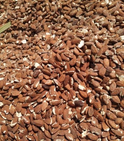 الضابطة الجمركية تضبط نحو 5 طن لوز مقشر غير صالح للاستهلاك الآدمي في محافظة جنين