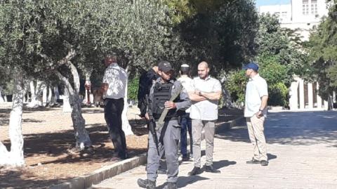 وزير إسرائيلي برفقة مستوطنين يقتحمون الأقصى
