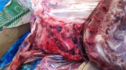 الضابطة الجمركية تضبط 7 طن من اللحوم المجمدة غير الصالحة للاستهلاك الآدمي