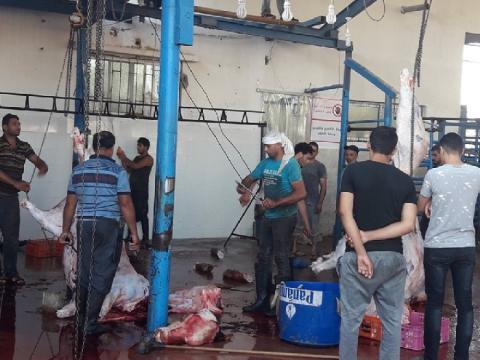 وزارة الزراعة: نجاح موسم عيد الأضحى لهذا العام