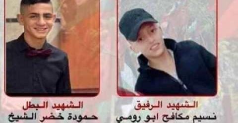 الديمقراطية: استشهاد رومي والشيخ جريمة إعدام ميداني