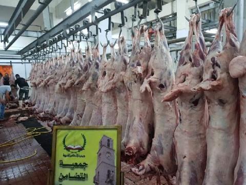 التضامن تنهي توزيع لحوم الأضاحي على أكثر من 8000 أسرة في نابلس