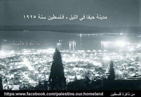 بعمرو الحلم ما مات ... ولاسرقتو العتمات