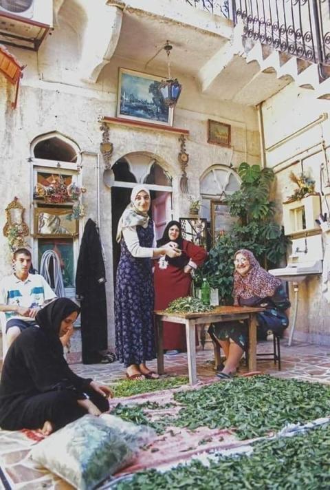 (صفورية) الجليلية .... والملوخية من فلسطين الى اليرموك