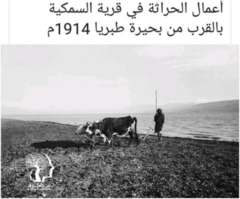 تلحوم أو عرب (السمكية) : الصولة والجولة