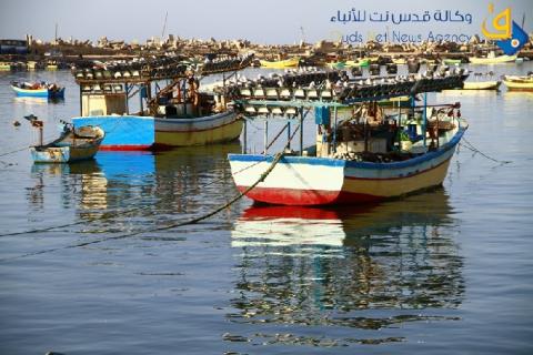 حملة لجمع عشرة آلاف  توقيع لدعم ومناصرة صيادي قطاع غزة