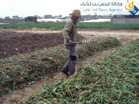 خبراء يبحثون تأسيس حركة اجتماعية تضم كافة المزارعين