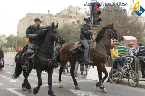 مظاهرة في شفاعمرو ضد "النيابة الإسرائيلية"