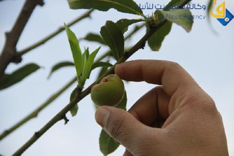 الطقس: صافي بوجه عام  وارتفاع  آخر على درجات الحرارة