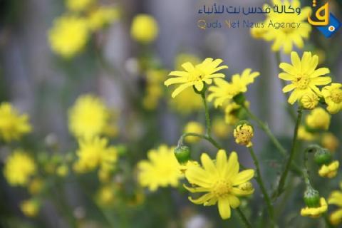 الطقس: انخفاض  درجات الحرارة مع بقائها  اعلى من معدلها