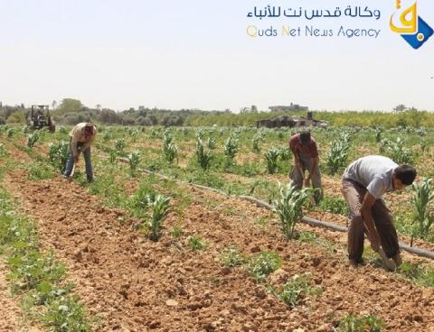 الاحتلال يستهدف المزارعين شرق غزة