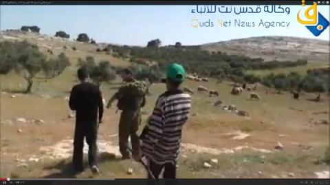 مستوطنون يهاجمون مزارعين جنوب الخليل والجنود يعتقلون مواطنا
