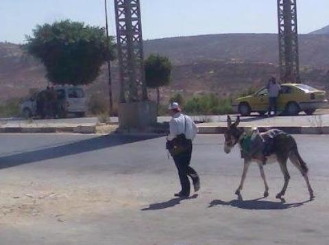 احتجاجاً على رفع الأسعار.. صحفي فلسطيني يختار الحمار وسيله لنقله إلى عمله
