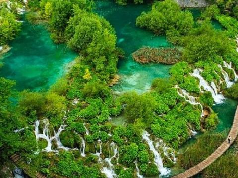 صور.. لقطات طبيعية لا تنسى