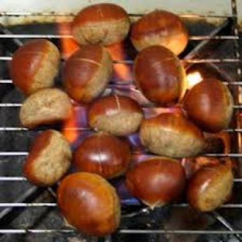 حملة مقاطعة الكستناء