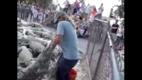 فيديو .. تمساح يطبق فكيه على مدربه ومساعدوه يترددون في نجدته