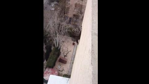 فيديو.. قطة تسقط من الطابق الثالث وتنجو