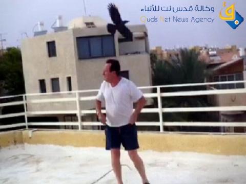 "الغربان المصرية" تشن هجمات شرسة على "إيلات"