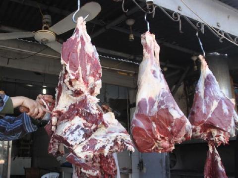 الزراعة تضبط 7 طن من اللحوم الفاسدة على معبر أبو سالم