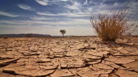 إفريقيا الأكثر عرضة لآثار التغير المناخي