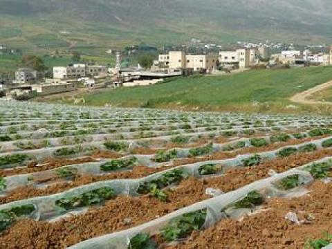 مشاركة فلسطينية في ورشة حول "النظام الغذائي لمنطقة المتوسط"