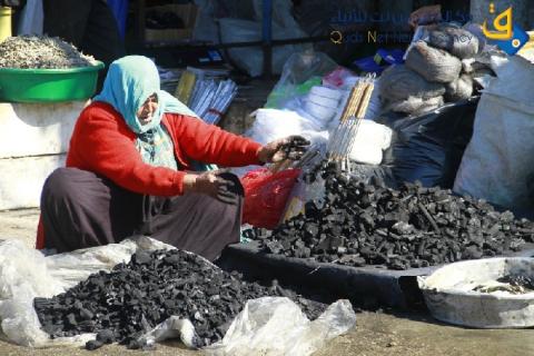 الإحصاء: 4.4% من سكان فلسطين مسنون منتصف العام الجاري