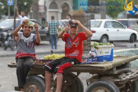 الأطفال.. ضحية إستغلال "بشعة" للمقاولين الفلسطينيين