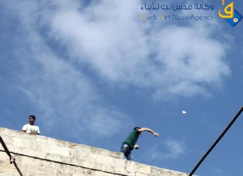 اصابات بالاختناق في مواجهات مع الاحتلال في حلحول