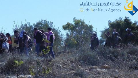 فلسطين تتضامن مع قريوت لقطف ثمار الزيتون ضد الاستيطان/ رشاد ابو حميد