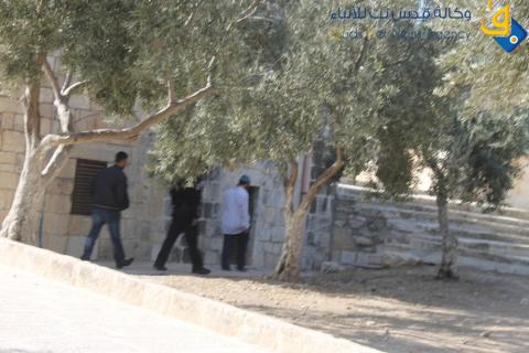 مجموعة من المستوطنين تقتحم المسجد الأقصى المبارك/ عدسة: ديالا جويحان