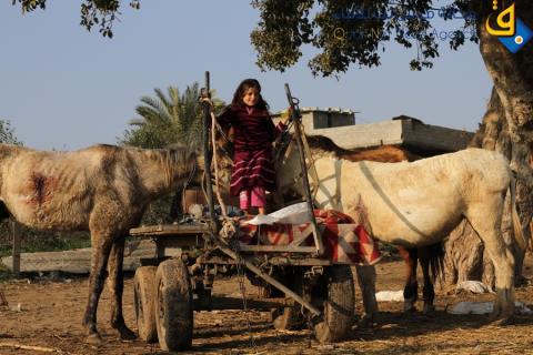 قطع الحديد وعربات الدواب اراجيح للأطفال في غزة/عدسة: محمود عيسى