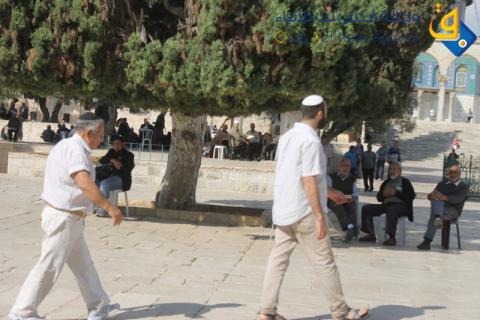 مجموعات متطرفة تدنس رحاب المسجد الاقصى