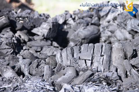 صناعة الفحم في غزة/ عدسة: عبد الرحمن عبدو