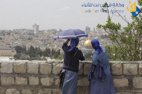 احتفال الكاثوليك بأحد الشعانين في القدس