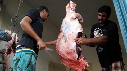 اجواء ذبح الأضاحي في قطاع غزة