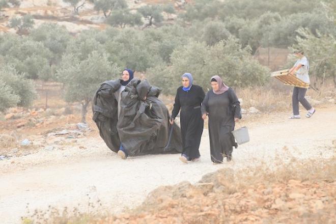 جنود إسرائيليون يلاحقون مزارعين فلسطينيين بين أشجار الزيتون خلال موسم القطاف في قرية سالم، شرق نابلس بالضفة الغربية، في 18 أكتوبر/تشرين الأول 2026.تصوير: محمد ناصر