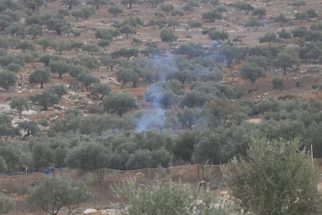 جنود إسرائيليون يلاحقون مزارعين فلسطينيين بين أشجار الزيتون خلال موسم القطاف في قرية سالم، شرق نابلس بالضفة الغربية، في 18 أكتوبر/تشرين الأول 2026.تصوير: محمد ناصر