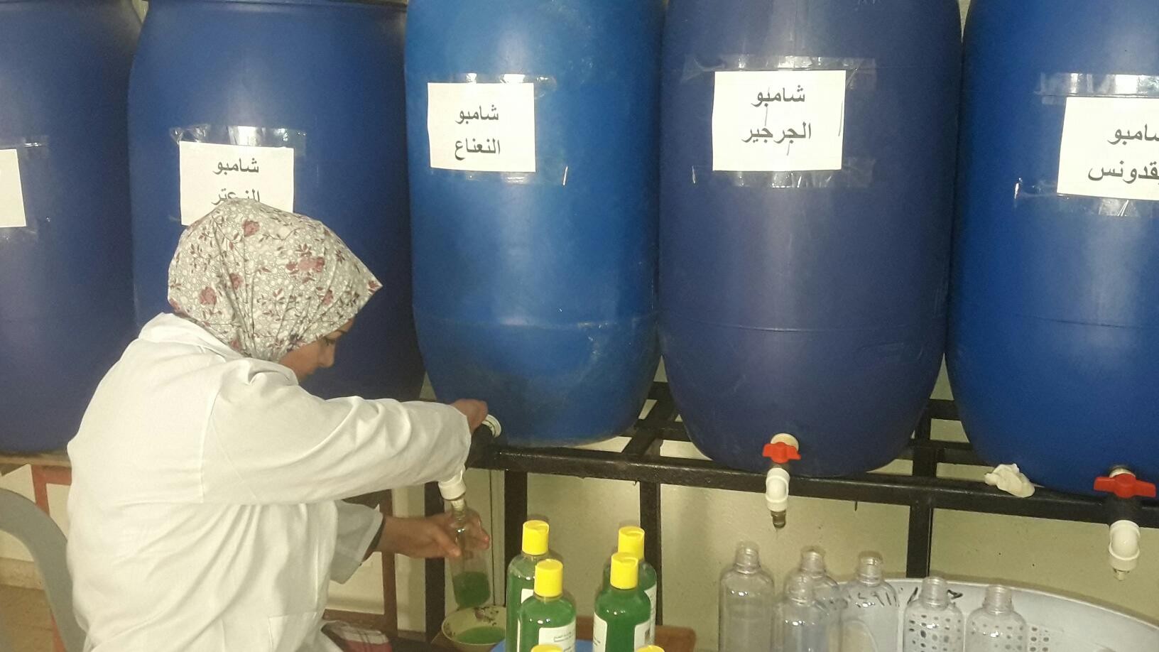 شامبو