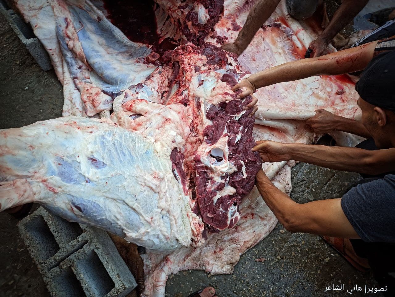 photo_٢٠٢١-٠٧-٢٠_١٠-١٥-٠٥