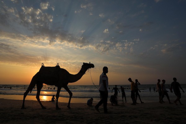 فلسطينيون يستمتعون بأوقاتهم على شاطئ البحر في مدينة دير البلح وسط قطاع غزة.32