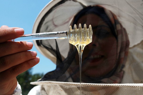 النحالة الفلسطينية سمر البع ، 30 عاما ، تعتني بمزرعة العسل التي يملكها والدها المتوفى في بيت حانون شمال قطاع غزة  8