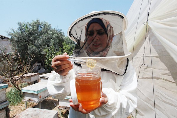 النحالة الفلسطينية سمر البع ، 30 عاما ، تعتني بمزرعة العسل التي يملكها والدها المتوفى في بيت حانون شمال قطاع غزة  7