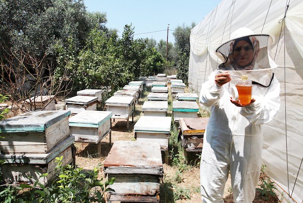 النحالة الفلسطينية سمر البع ، 30 عاما ، تعتني بمزرعة العسل التي يملكها والدها المتوفى في بيت حانون شمال قطاع غزة  1