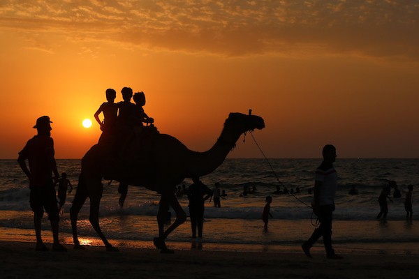 فلسطينيون يستمتعون بأوقاتهم على شاطئ البحر في مدينة دير البلح وسط قطاع غزة. 42