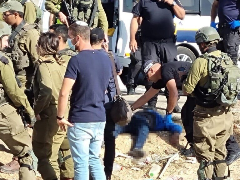 b558de9e-3fd1-40b3-ae1e-00f682efeab0-768x576