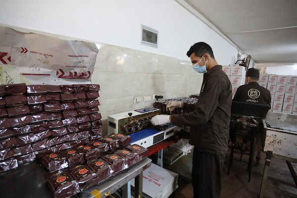 مصنع للبن في مدينة غزة 