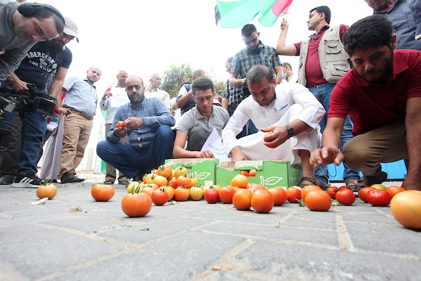  مزارعون يرفضون شروطا إسرائيلية لتصدير السلع الزراعية